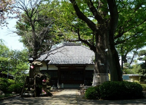 淨光寺（浄光寺）の施設写真