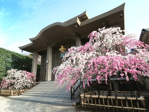 本法寺の施設写真