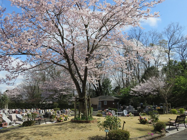 エンディングセンター桜葬墓地(町田市)の施設写真