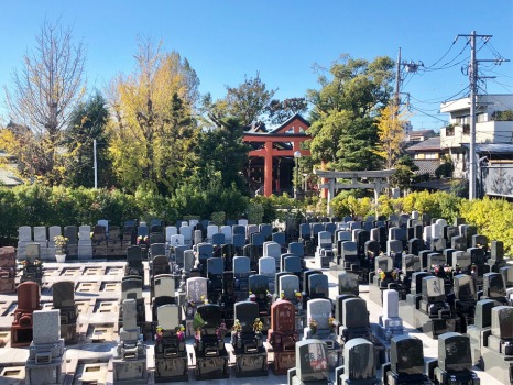 グリーンパーク新宿の施設写真