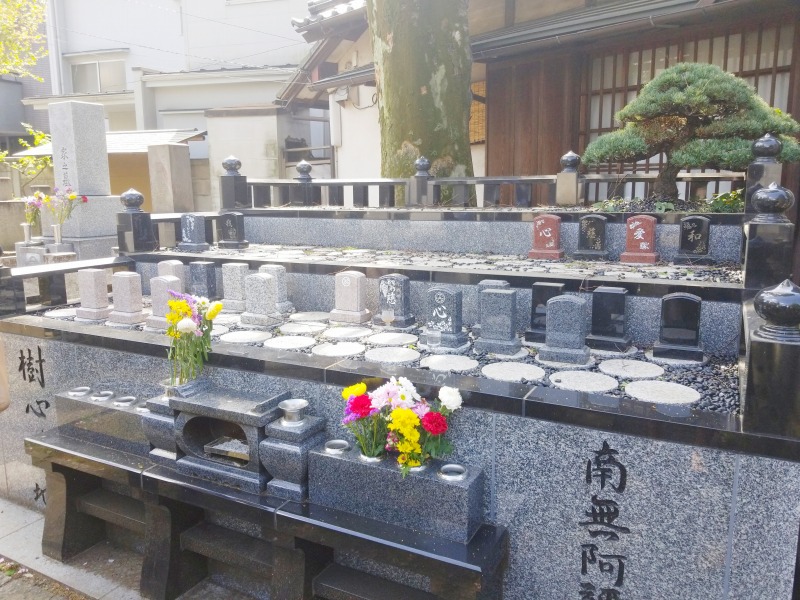 正德寺 欅の杜 樹木葬 樹心~じゅしん~の施設写真