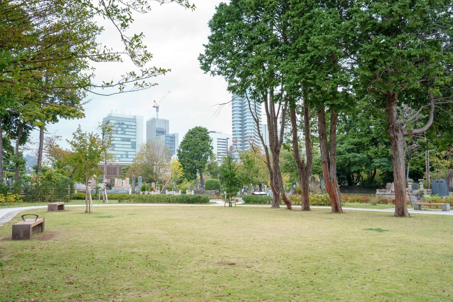 都立青山霊園の公式写真