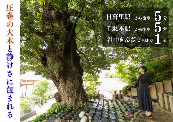谷中樹陵 久遠・長明寺樹木葬の施設写真