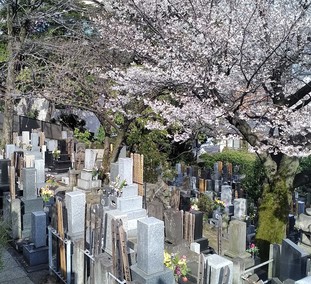 陽壽院の施設写真